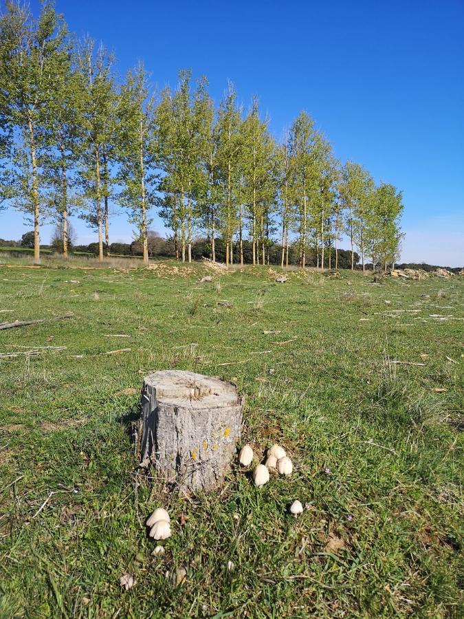 L' Abilleiru Albergue Rural Santibanez de Valdeiglesias Eksteriør bilde